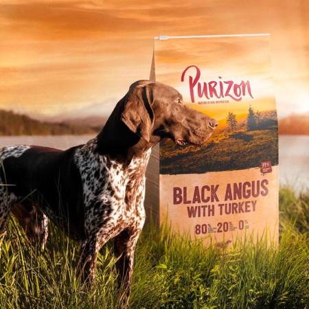 Purizon Adult, wołowina Black-Angus i indyk 1kg